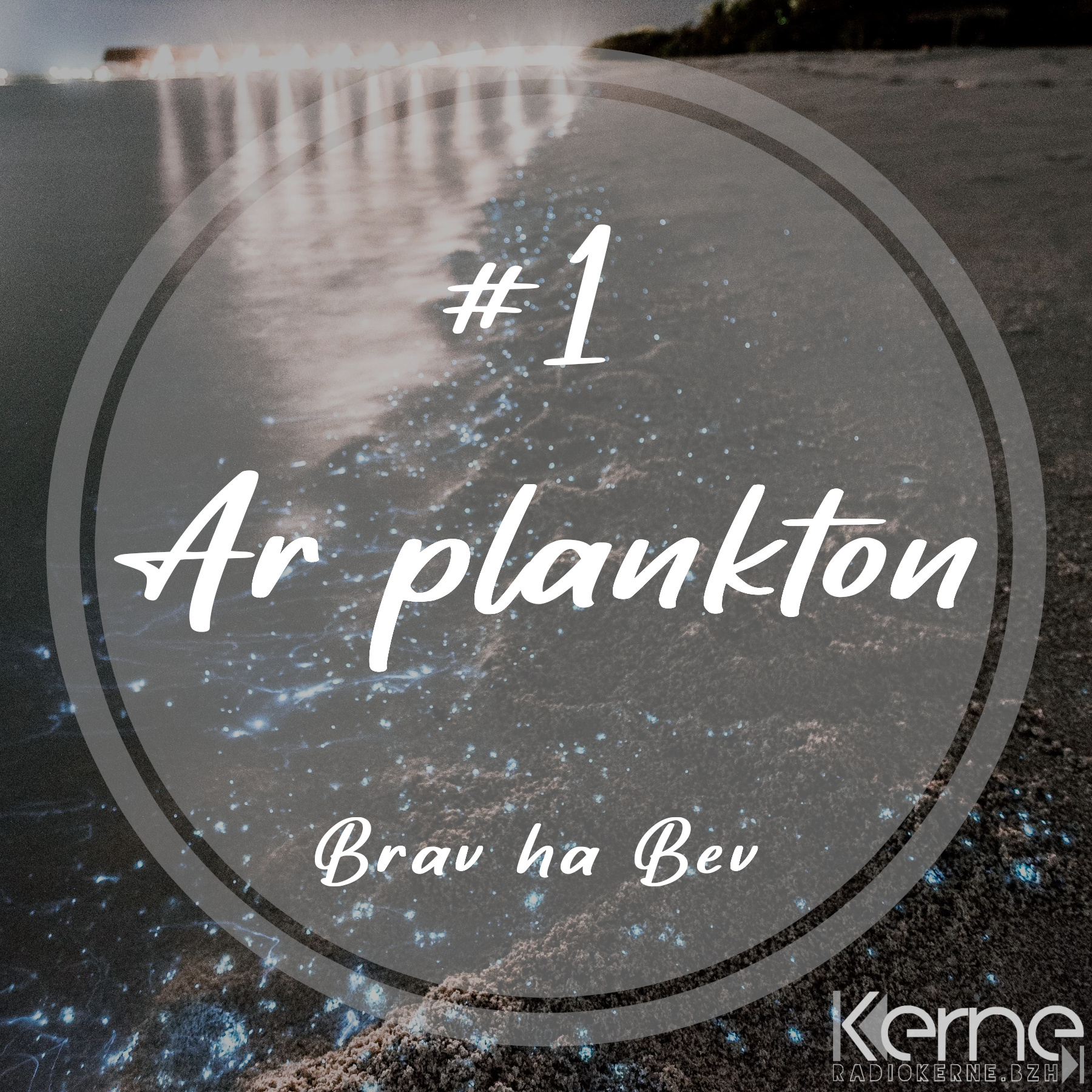 #1 Ar plankton