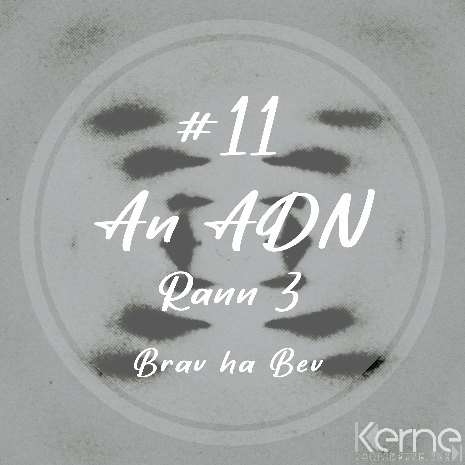 #11 An ADN (3/3)