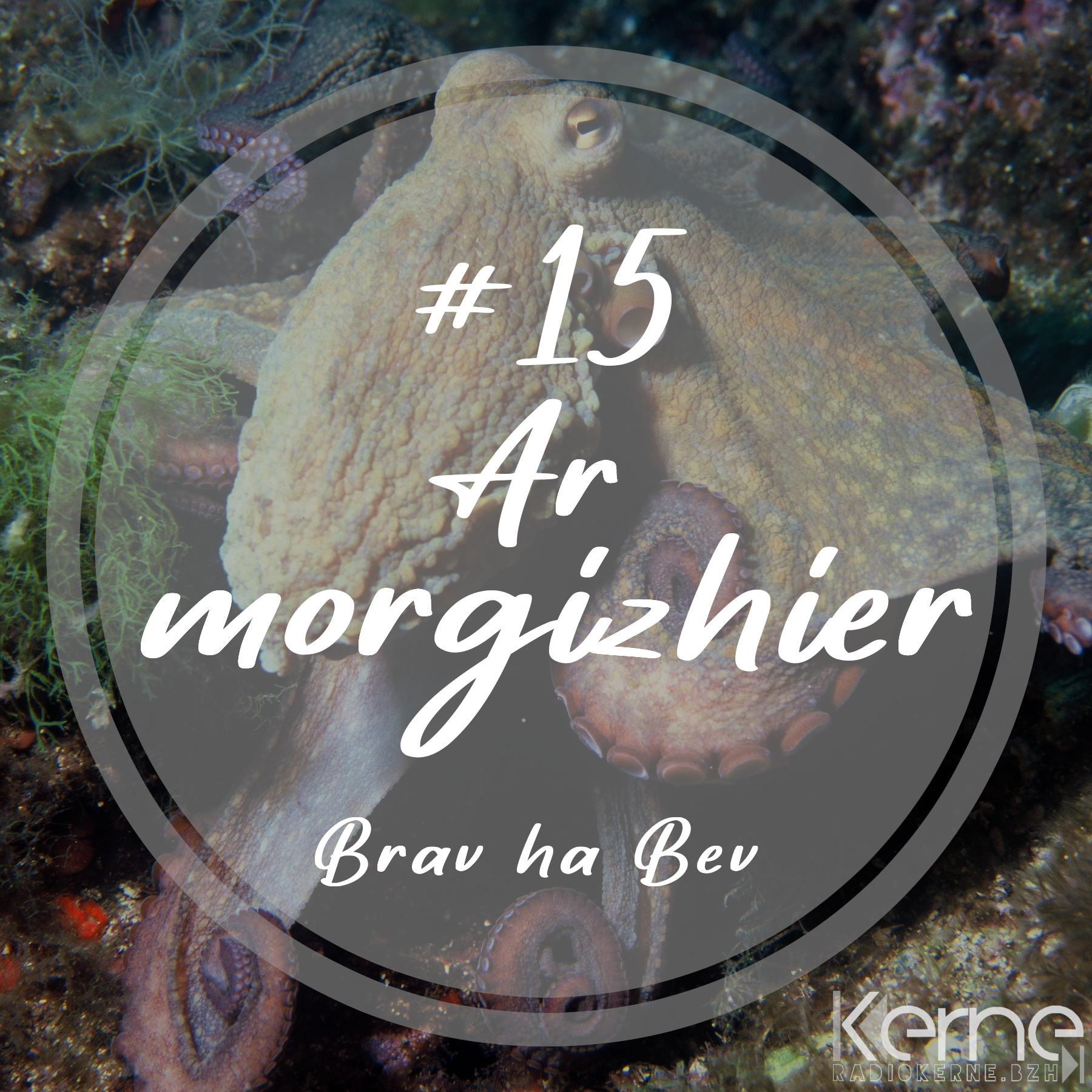 #15 Ar morgizhier