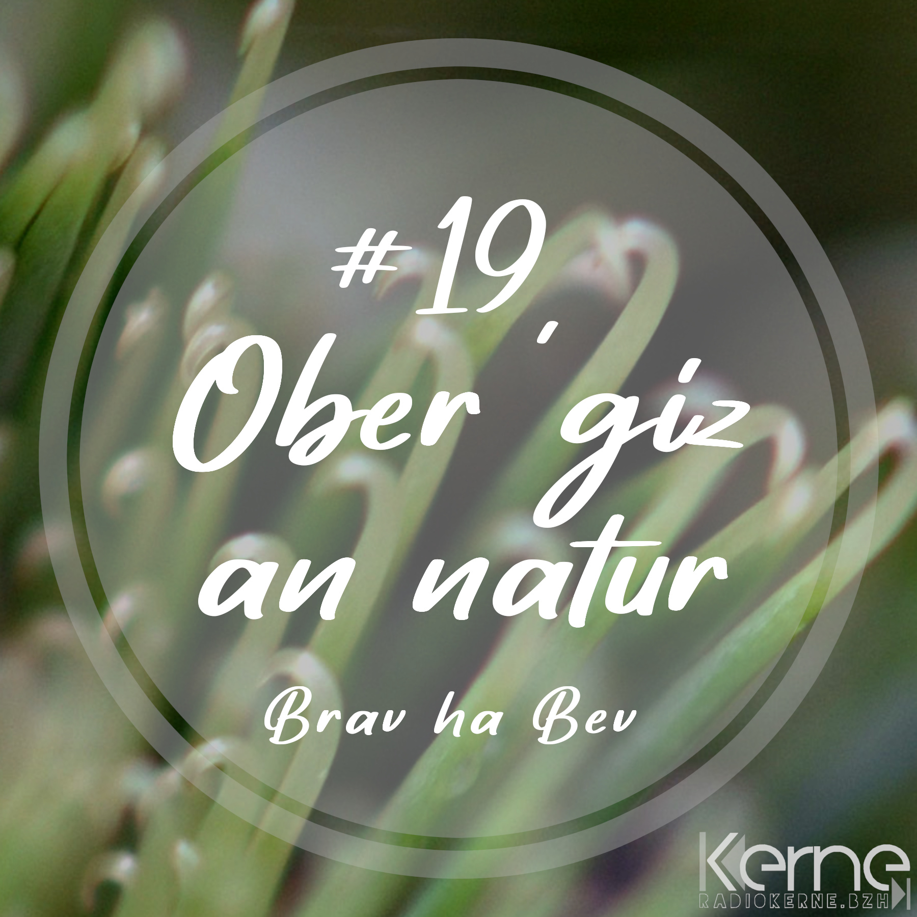 #19 Ar biomimikerezh - ober ‘giz an natur