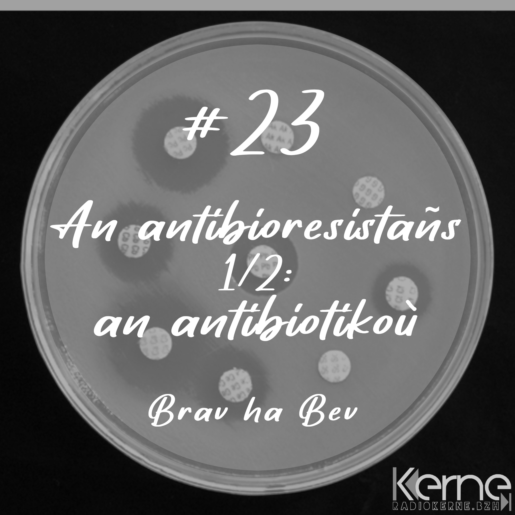 #23 An antibioresistañs (1/2)