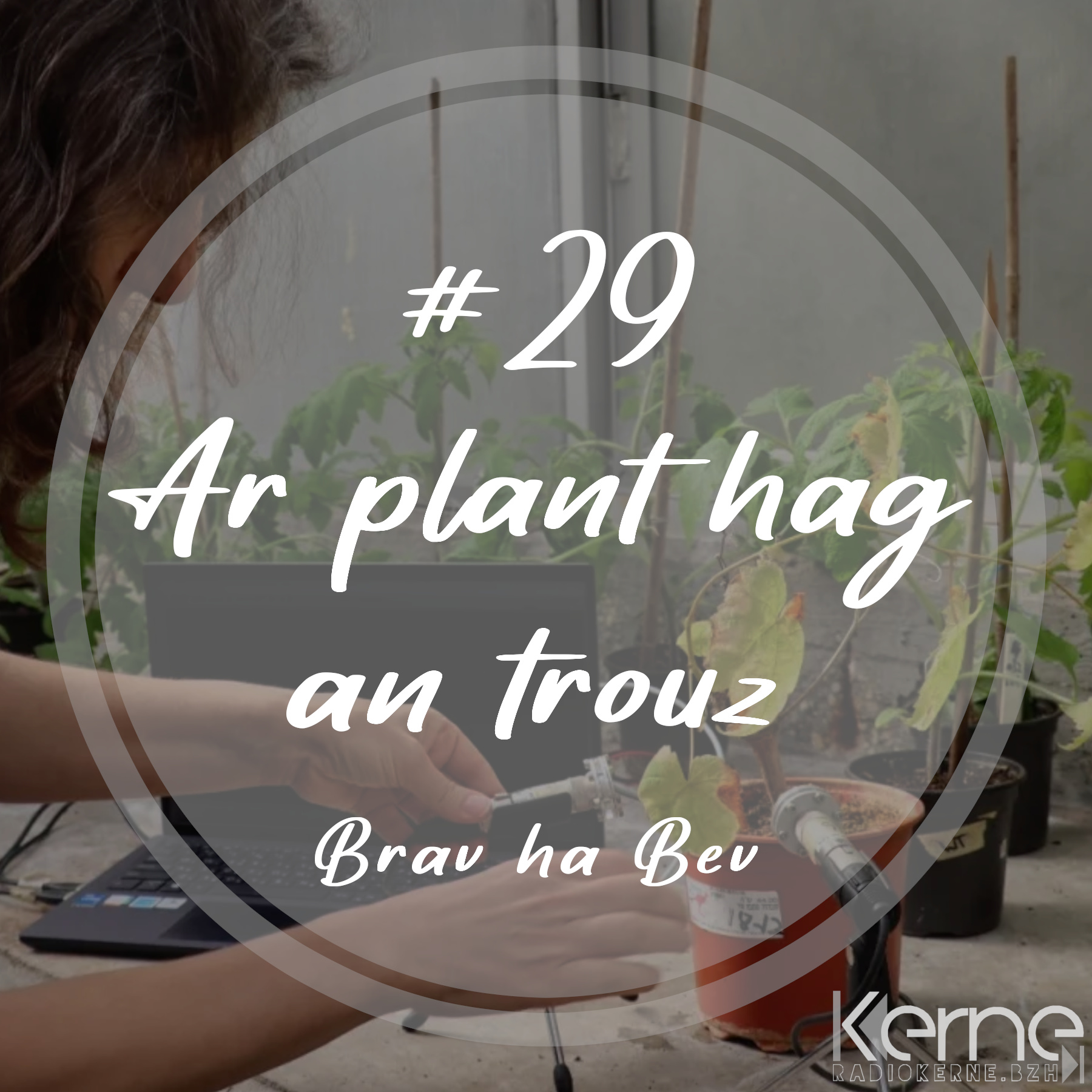#29 Ar plant hag an trouz