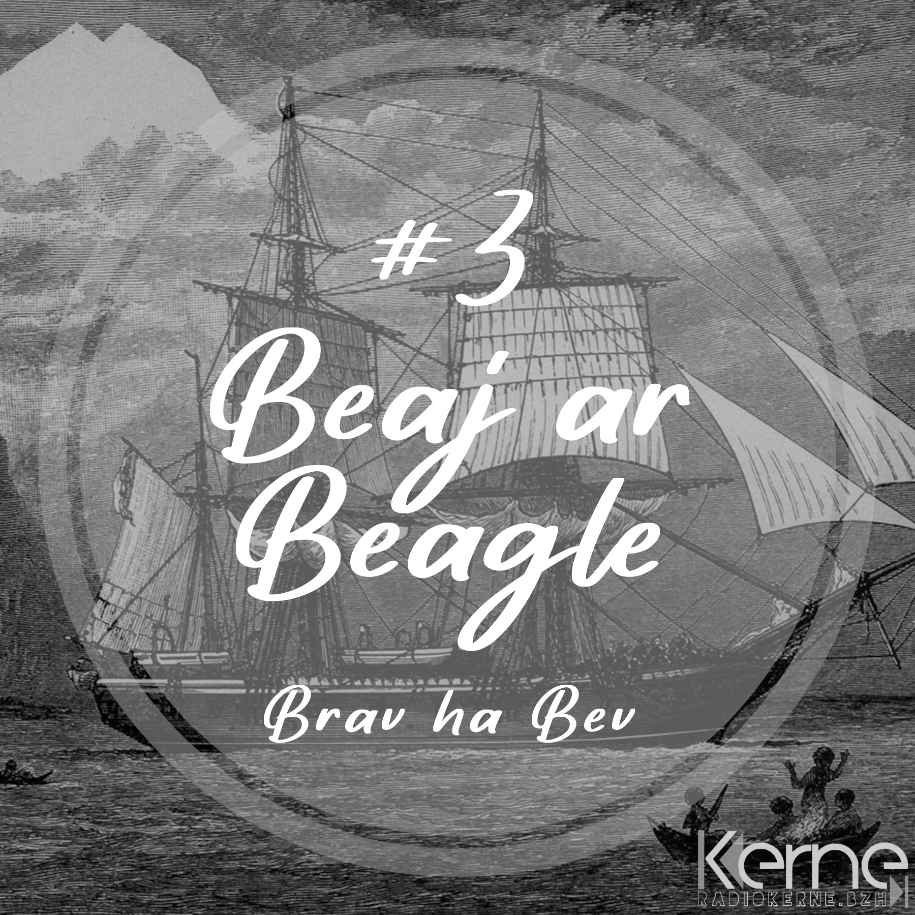 #3 Beaj ar Beagle