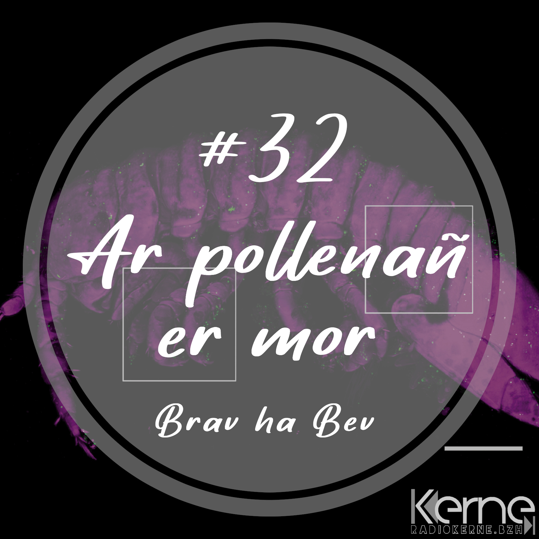 #32 Ar pollenañ er mor
