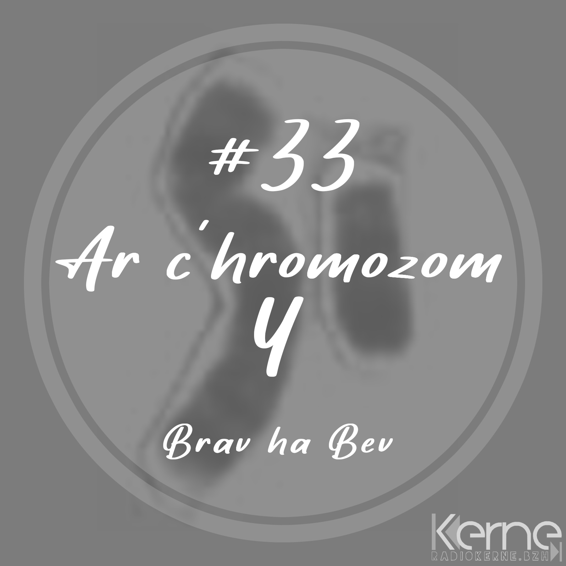 #33 Ar c’hromozom Y
