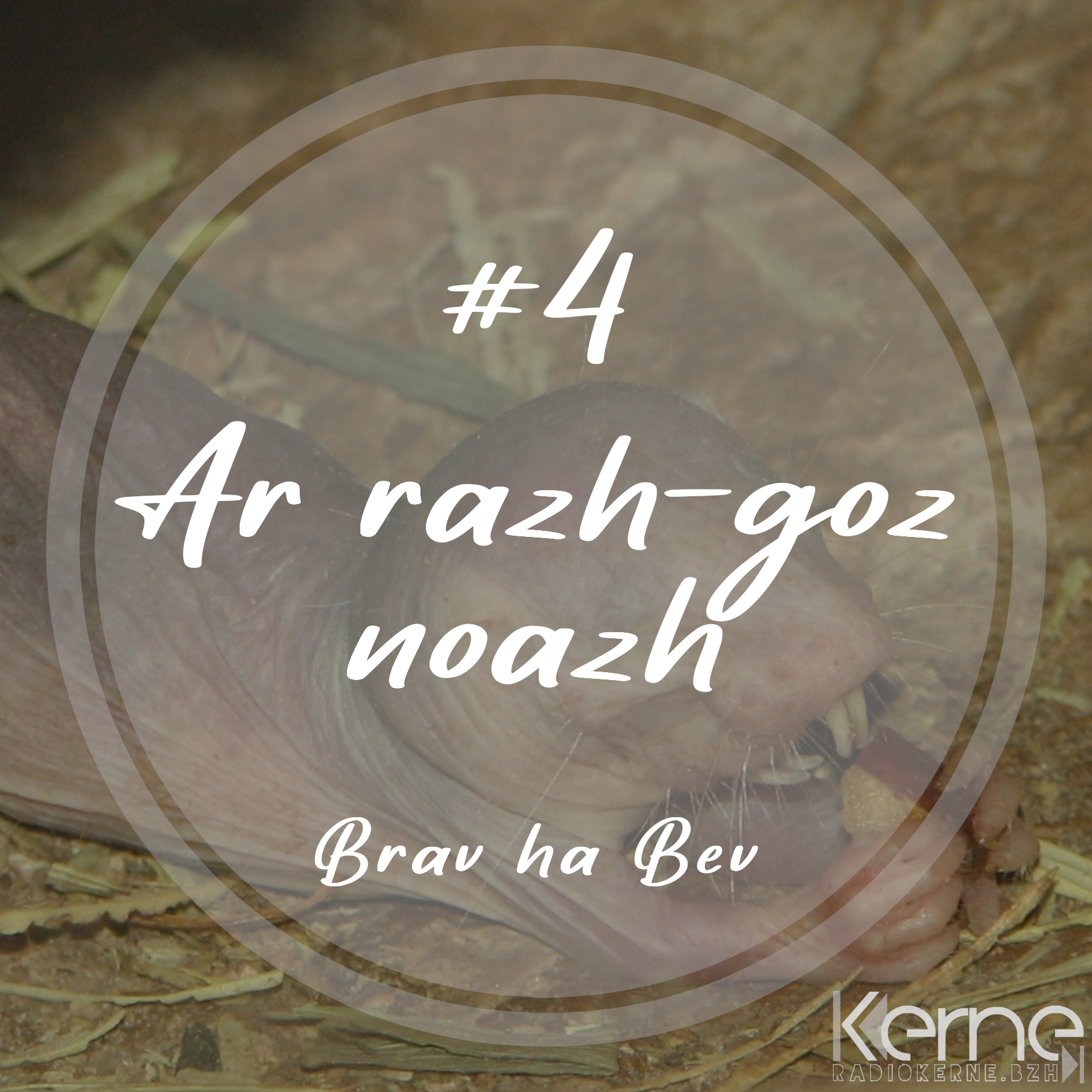 #4 Ar razh-goz noazh