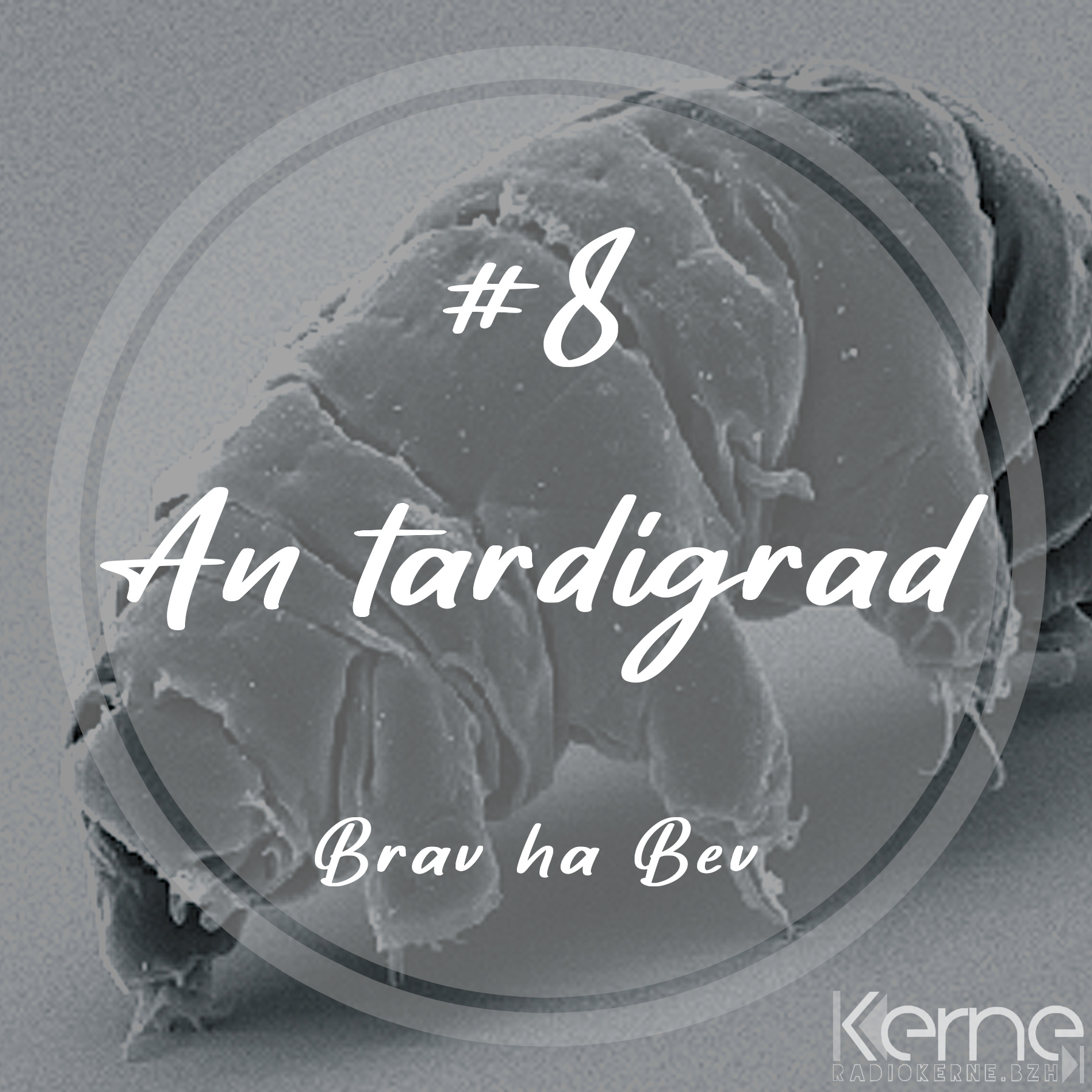 #8 An tardigrad