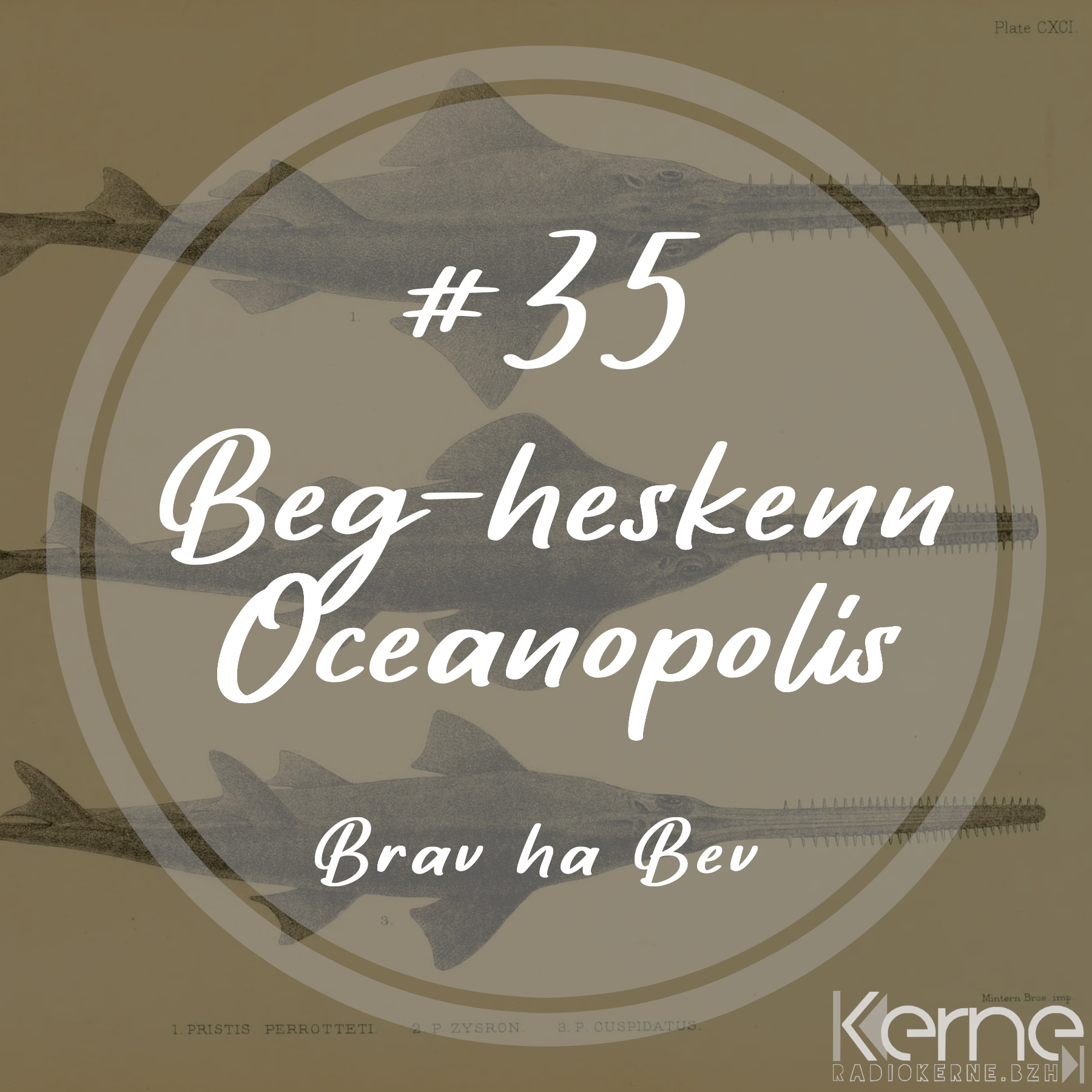 #35 Beg-heskenn Oceanopolis
